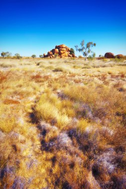 Avustralya Outback Devils mermerler