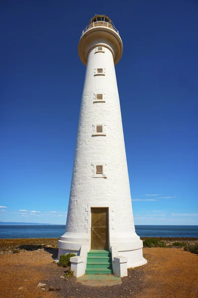 Uzun boylu Beyaz feneri