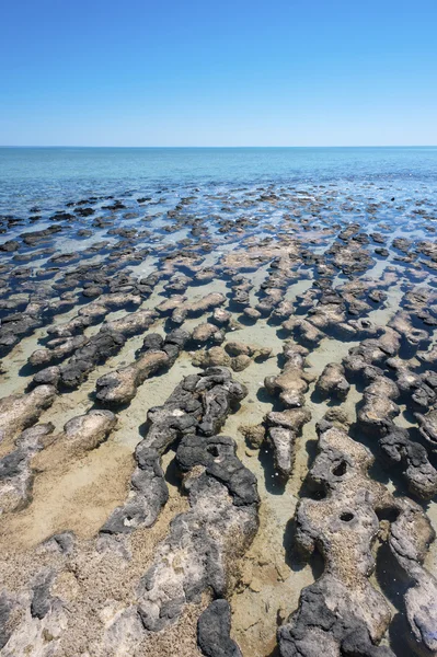 Değişeceği Batı Avustralya