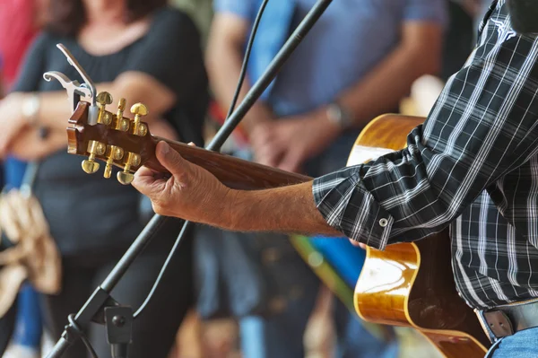 Gitar çalmaya Sokak çalgıcısı