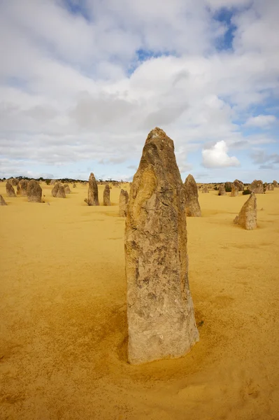 The Pinnacles Desert — Stock Photo, Image