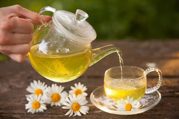 Té verde en una hermosa taza — Foto de Stock