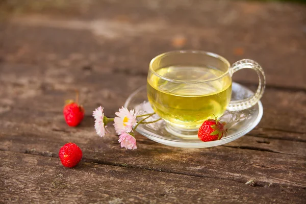 Té verde en una hermosa taza — Foto de Stock