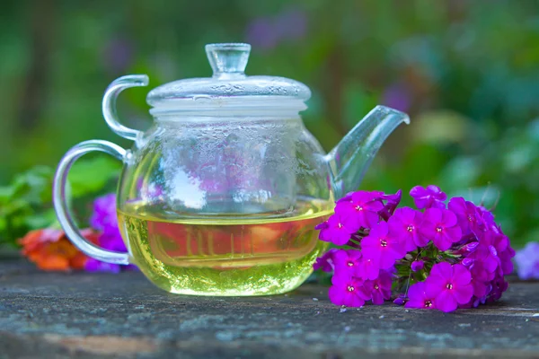 Té verde en una hermosa taza — Foto de Stock