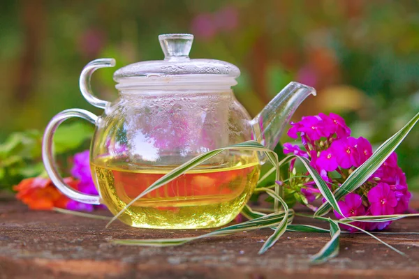 Güzel fincanda yeşil çay — Stok fotoğraf
