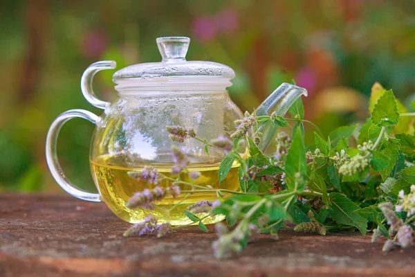 Té verde en una hermosa taza — Foto de Stock