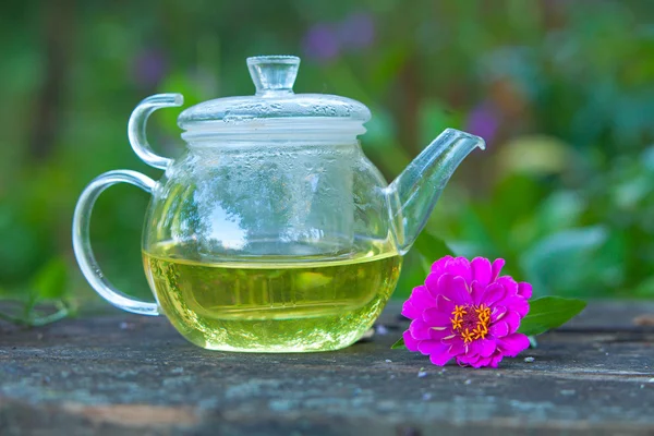 Té verde en una hermosa taza — Foto de Stock