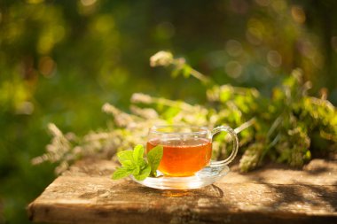 Güzel fincanda yeşil çay