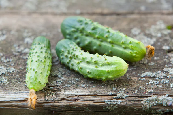 Pepino na mesa de madeira — Fotografia de Stock