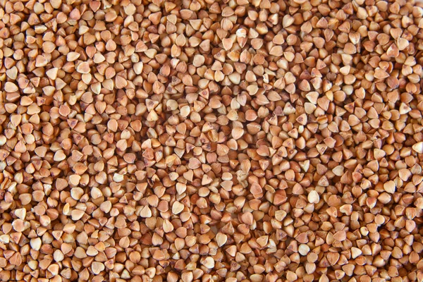 Millet isolated on white background — Stock Photo, Image