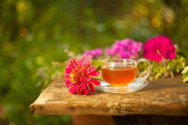 Güzel fincanda yeşil çay