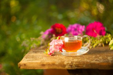 Güzel fincanda yeşil çay