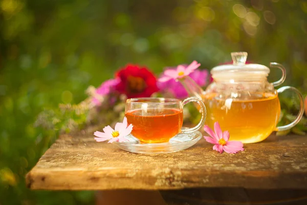 Thé vert dans une belle tasse — Photo