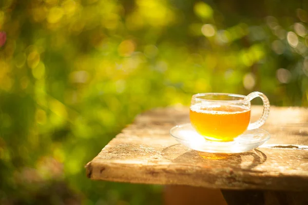 Green tea in beautiful cup — Stock Photo, Image