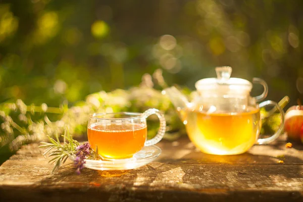 Green tea in beautiful cup — Stock Photo, Image