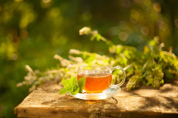 Grüner Tee in schöner Tasse — Stockfoto