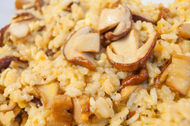  mantar beyaz arka plan üzerinde beyaz tabakta sıcak risotto