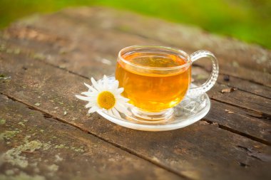 Güzel fincanda yeşil çay