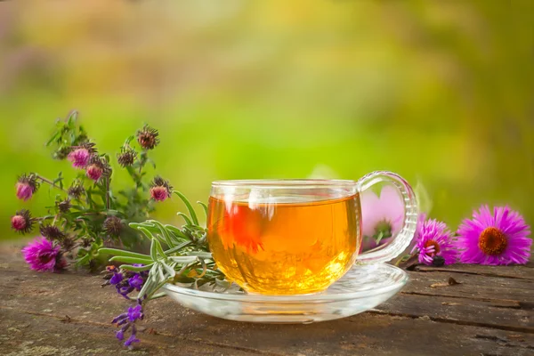 Té verde en una hermosa taza — Foto de Stock