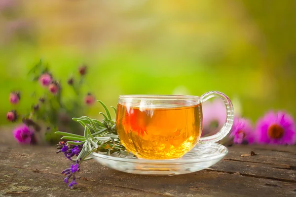 Зеленый чай в красивой чашке — стоковое фото