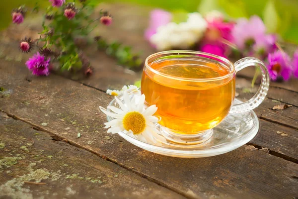 Grüner Tee in schöner Tasse — Stockfoto