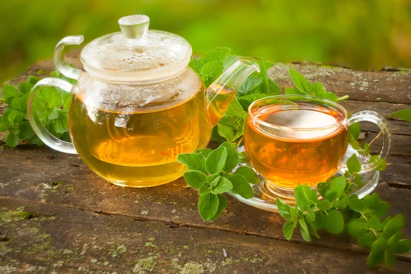 Green tea in beautiful cup — Stock Photo, Image