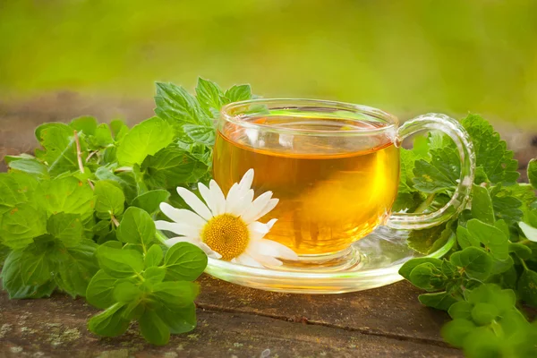 Zöld tea gyönyörű csészében. — Stock Fotó