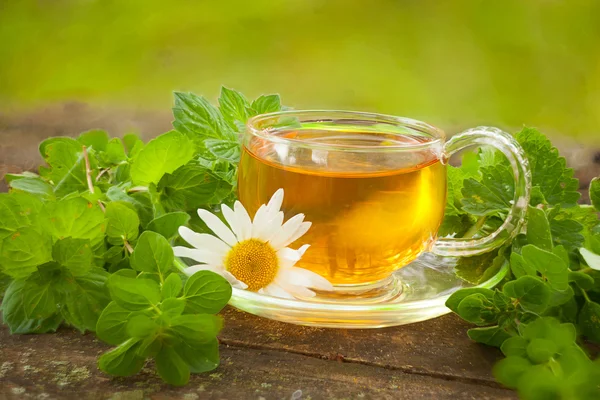 Thé vert dans une belle tasse — Photo