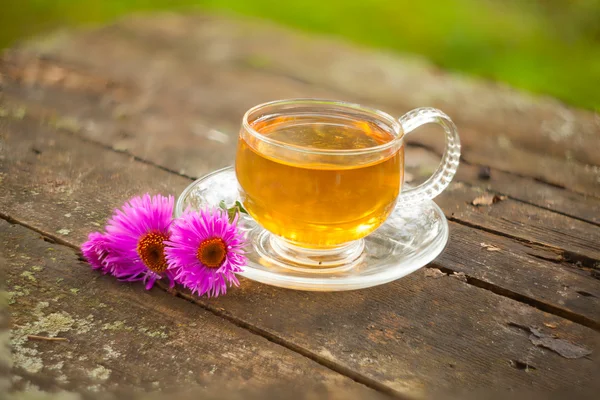 Té verde en una hermosa taza — Foto de Stock