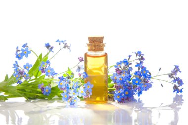 Çiçeklerin özü beyaz bir arka planda güzel bir cam kavanozda