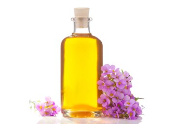 Beyaz arka planda, güzel bir şişede duran bir Arap çiçeğinin temel yağı.