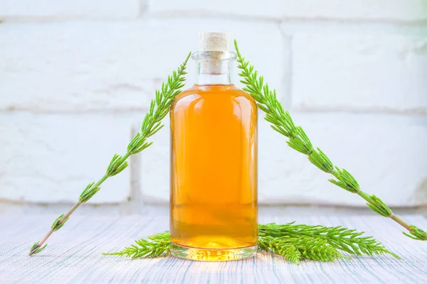 Aceite Esencial Horsetai Una Hermosa Botella Sobre Fondo Blanco — Foto de Stock