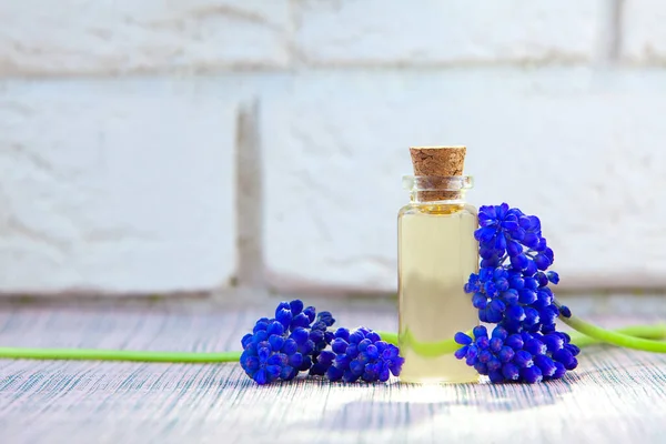 Essential Oil Muscari Flower Table Beautiful Bottle Stock Picture