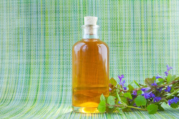 Bugleherb Essential Oil Beautiful Bottle Green Background Royalty Free Stock Images