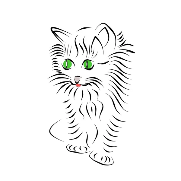 Fluffiga kattunge, ritning. Silhuetten av en kattunge, svarta linjer på en vit bakgrund. — Stockfoto