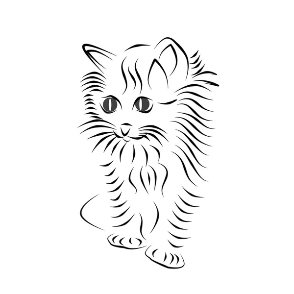 Gatinho fofo, desenho. Silhueta de um gatinho, linhas pretas em um fundo branco . — Fotografia de Stock