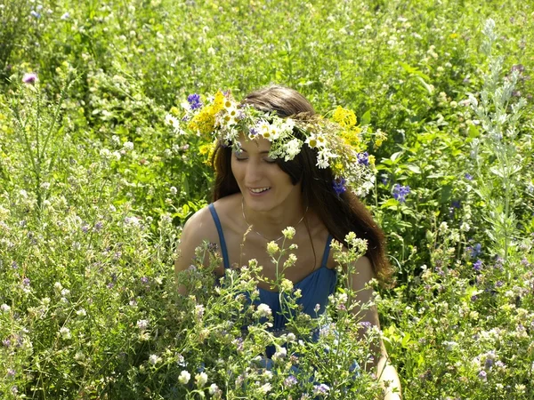 Κορίτσι στο πεδίο καλοκαίρι με ένα στεφάνι στο κεφάλι των λουλουδιών πεδίο Royalty Free Εικόνες Αρχείου