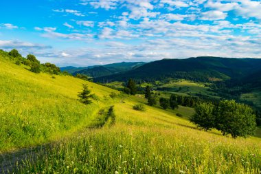 Büyüleyici Karpat manzara