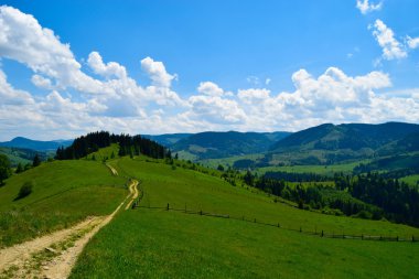 Yaz Karpat görünümü