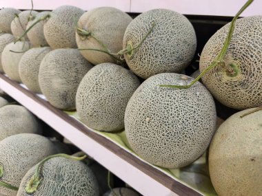 Pek çok taze kavun, karakteristik yeşil derileri ile bir mağazadaki raflarda düzgünce sergilenir.