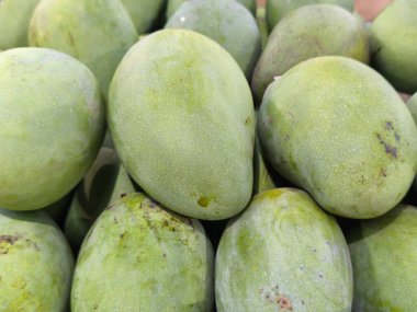 Taze, canlı yeşil mango yığınları eşsiz dokusunu ve rengini sergiliyor. Bu tropikal meyveler aşçılık için hazır.