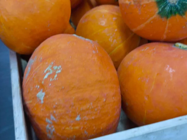 Canlı turuncu balkabaklarının dizilişi taze hasat edilmiş, kırsal ahşap bir sandıkta doğal renklerini ve dokularını sergiliyor.