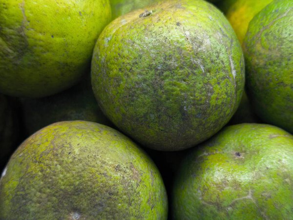 Макровзгляд на зеленые цитрусовые фрукты, показывающие их грубую, пятнистую кожу и яркий цвет, расположенные в естественном кластере