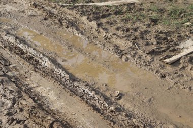 Lastik izleri ve hayvan ayak izleri, asfaltsız bir yoldaki büyük bir su birikintisini çevreleyen ıslak kahverengi çamurda iz bırakır.