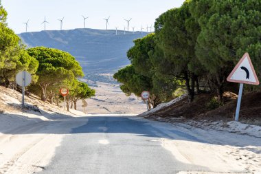 A road winds through a sand dune, lined with a pine forest that slowly disappears into the sand. Landscape shot at the Duna De Valdevaqueros, Tarifa, Andalusia, Spain