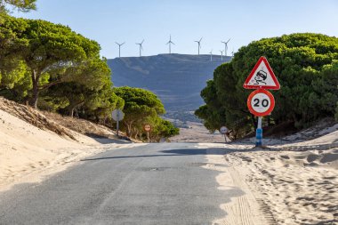 A road winds through a sand dune, lined with a pine forest that slowly disappears into the sand. Landscape shot at the Duna De Valdevaqueros, Tarifa, Andalusia, Spain