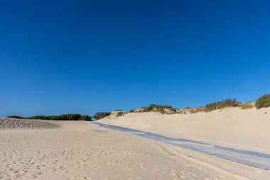 A road winds through a sand dune and is slowly swallowed up by the sand. Landscape shot in the morning at Duna De Valdevaqueros, Tarifa, Andalusia, Spain