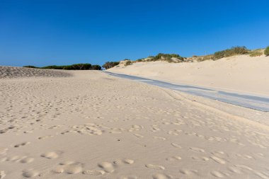 A road winds through a sand dune and is slowly swallowed up by the sand. Landscape shot in the morning at Duna De Valdevaqueros, Tarifa, Andalusia, Spain