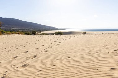 View over a sand dune and a beach to the sea and the coast of Tarifa. Landscape shot in the morning at Duna De Valdevaqueros, Tarifa, Andalusia, Spain