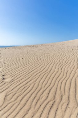 Blue skies and sunshine, along with a light breeze, allow the sand of a dune to create stunning patterns. Landscape shot with waves and patterns on the sand at Duna de Valdevaqueros, Tarifa, Andalusia, Spain